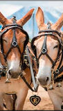 Bishop Mule Days